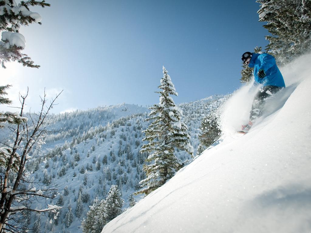 Panorama Mountain Resort - Ski Tip / Tamarack Condos מראה חיצוני תמונה